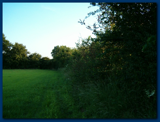 600x449 pixels (116K)